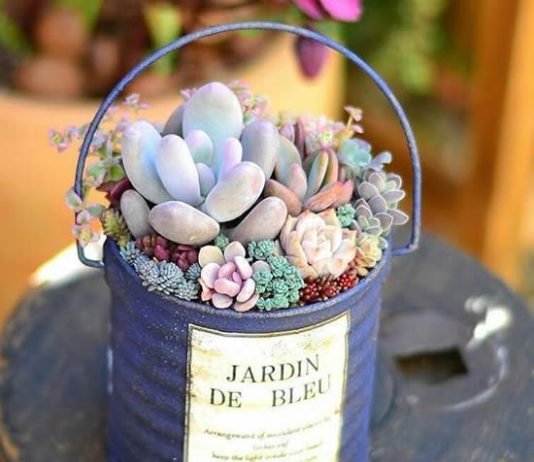 Kendin Yap Saksı Modelleri,Saksı Modelleri,Saksı DIY Fikirleri,Terlikten Saksı,Çizmeden Saksı,Kumaştan Saksı Yapımı,Plastik Şişeden Saksı | Neşeli Süs Evim